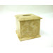 Series 300 Sahara Tissue Holder