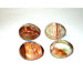Assorted Eggs Set (Set of 4)