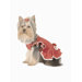 Tucked Dog Dress with Cabbage Rose