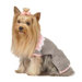 Scandinavian Dog Sweater Dress