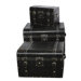 Large Storage Trunks (Set of 3)