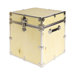 Cube Naked Trunk