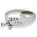 Polo Handmade Perforated Leather Dog Leash in White with White Stitching