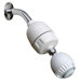 Shower Filter (2.2 lbs)