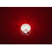 Shining Wonderland Wall/Ceiling Light