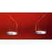 Aluring 2 Light Pendant