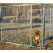 Chain Link Modular Panel Dog Kennel