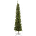 Durham Pole Pine 6.5' Artificial Christmas Tree with Warm White LED Lights 