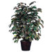 Deluxe 4' Artificial Potted Natural Apple Tree in Multicolor