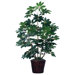 Deluxe 4' Artificial Schefflera Tree in Green