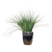 Floral Grass