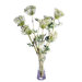 Floral Queen Anne's Lace