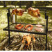 Rotisserie Grill and Spit