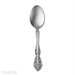 Stainless Steel Michelangelo Place Spoon