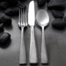 Quanta 20 Piece Flatware Set