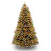 Douglas Fir Downswept Tree