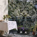 Algue 25 Pack by Ronan & Erwan Bouroullec