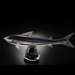 Art Glass Trout with Gift Box