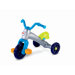 Grow with Me Tricycle
