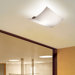 Selis Small Wall/Ceiling Mount