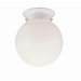 1 Light  Flush Mount  with Opal Glass