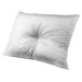 Sleepy Hollow Pillow