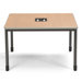 Executive Series Terminal/Workstation