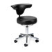 Anatomy Office Chair