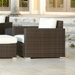 Lucaya Lounge Chair