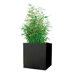 Kenji Square Planter Box