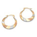 Tritone Hoop Pierced Earrings