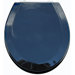 Premium Wood Toilet Wood Seat in Metallic Black