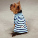 Striped Polo