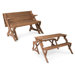Folding Picnic Table and Bench
