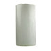 Frozen Vase