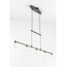 Morning Star 5 Light Chandelier