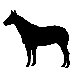 Silhouette - Horse Stretched Wall Art