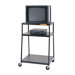 Wide-Body Monitor Cart
