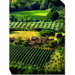 Pienza Contryside Outdoor Canvas Art