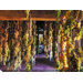 Hanging Grapes Art Painting