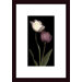 Grace III Wood Framed Art Print