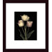 Prelude I Wood Framed Art Print