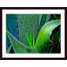 Grass snd Cactus Wood Framed Art Print