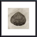 La Playa No1 Metal Framed Art Print
