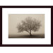 Forever Spring Wood Framed Art Print