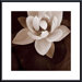 Amazon Lotus Metal Framed Art Print
