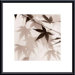 Japanese Maple Leaves No. 2 Metal Framed Art Print