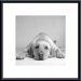 Tally Metal Framed Art Print