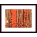 Chipped Paint Abstract Wood Framed Art Print