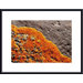 Lichen Abstract Metal Framed Art Print